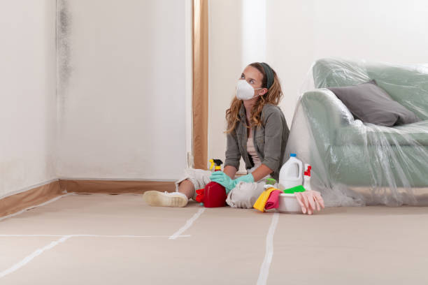 Reliable Black Mold Removal contractor in Erwin, TN by WQB Mold Removal